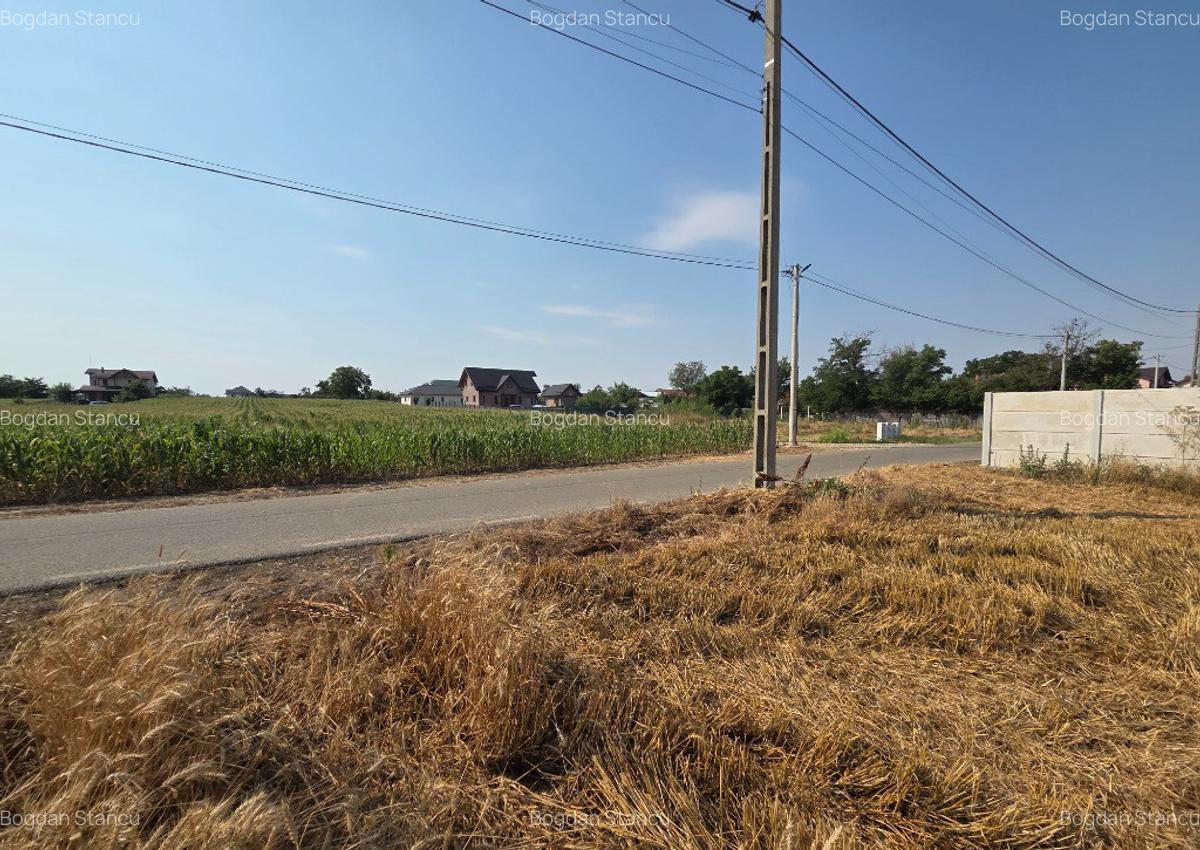 Teren intravilan periferie Bucuresti in Comuna Ulmi, Giurgiu. 4910mp - 7