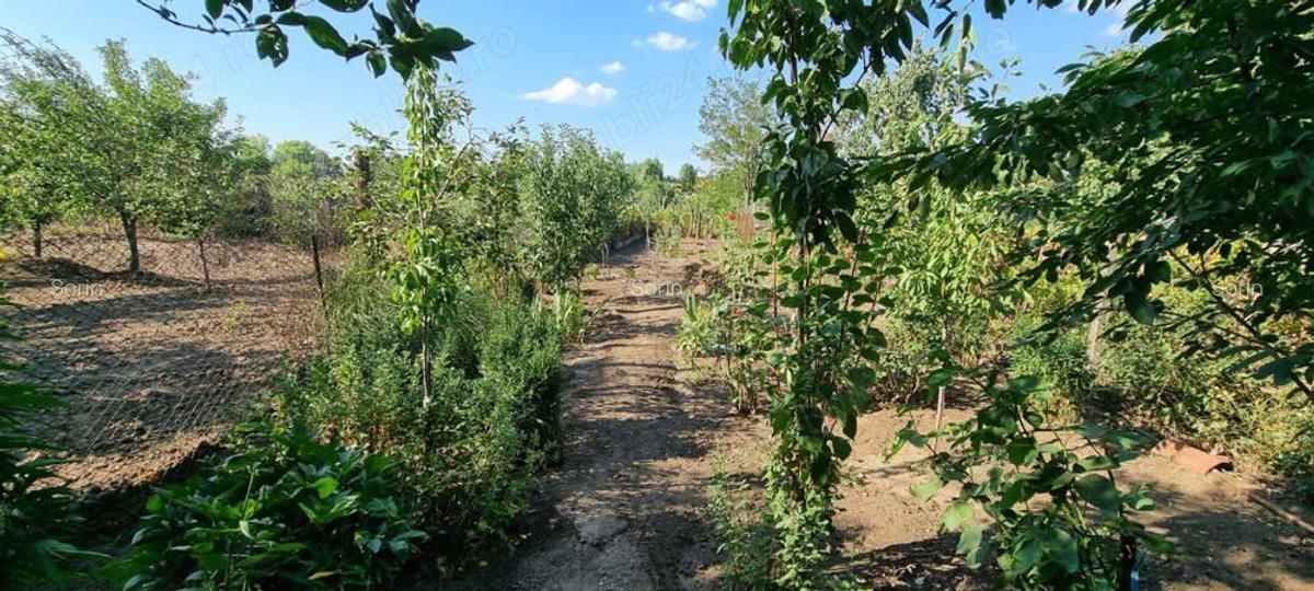 Casa de vanzare - Caracal - jud. Olt - 4