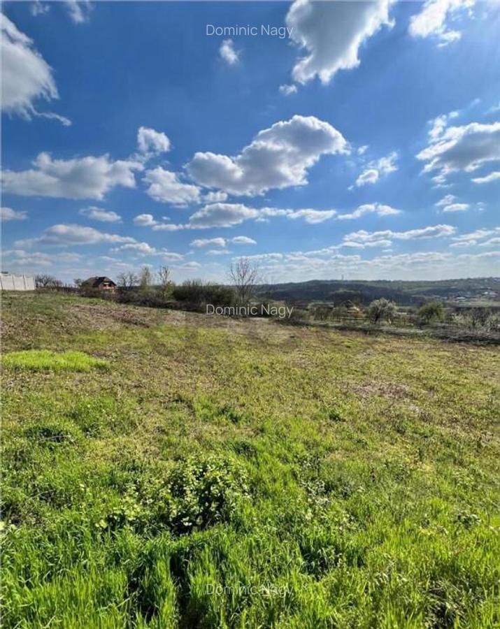 RECO teren de in zona Paleu - 6