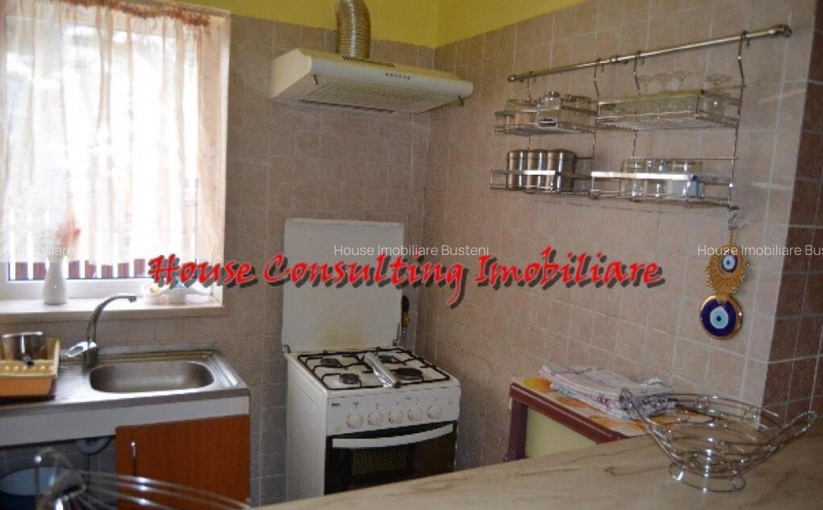 Vila de vacanta in Predeal - 10 Vila de vacanta in Predeal - 10