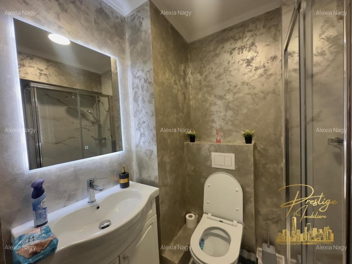 Apartament lux cu 2 dormitoare de inchiriat in zona Nufarul - Oradea - 12