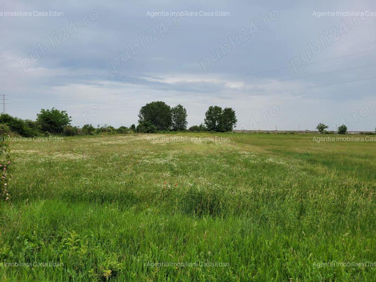 Casa in Calinesti Ph 4 camere teren 4997mp 50.000e - 19