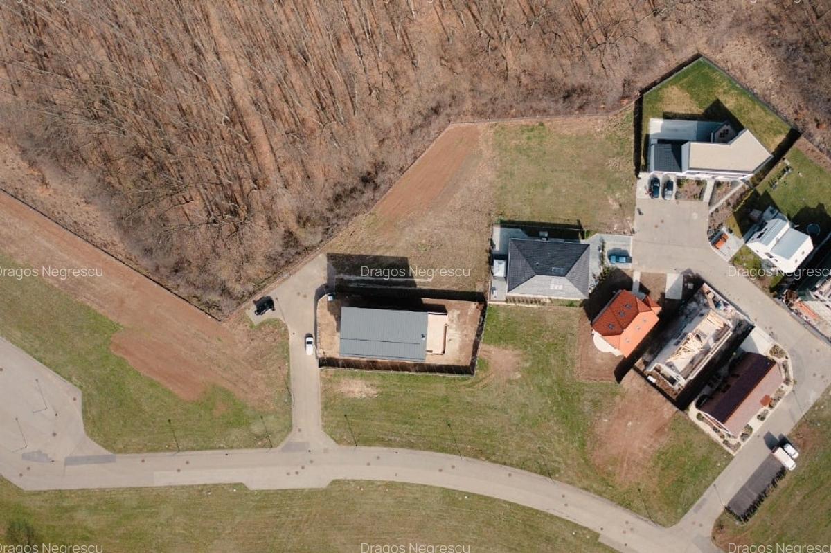 Teren de vis în Dumbrava Vlăsiei – 1290 mp, la marginea pădurii mature - 5