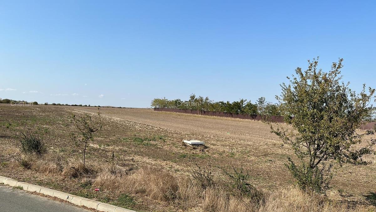 Teren Construcții intravilan de 5000 mp, în Tuzla - 6
