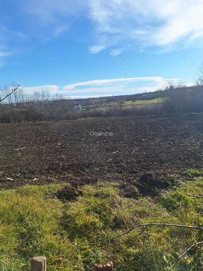 Casa de vanzare,Sacosu mare,6000m2,acte la zi,zona foarte linistita - 5