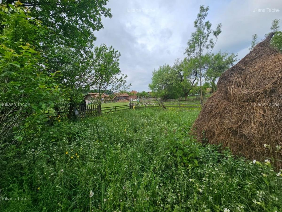 Teren Construcții intravilan de 1660 mp, în Valea Doftanei - 6