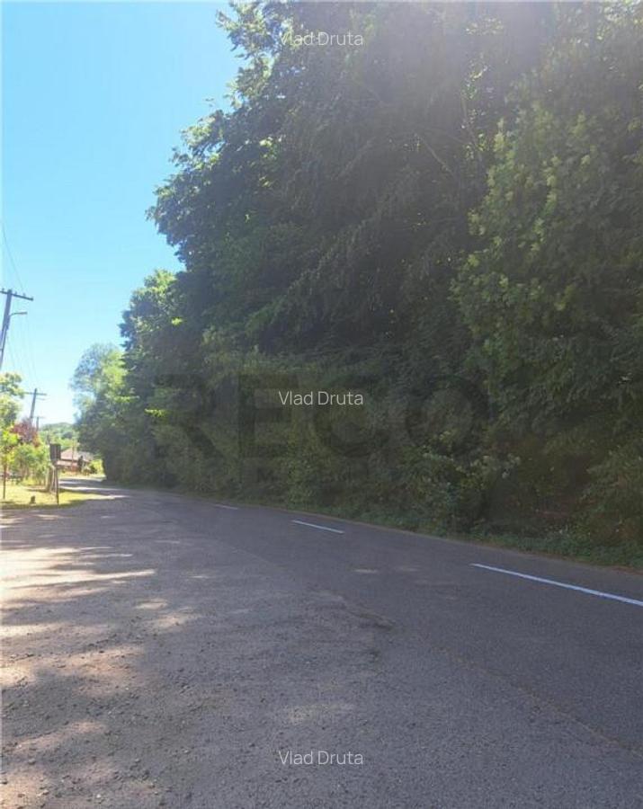 RECO Apartament cu doua camere in Padurea Neagra - 4