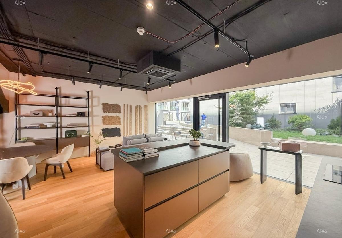Spatiu Comercial in Win Herastrau | 2 Etaje | Terasa | - 13