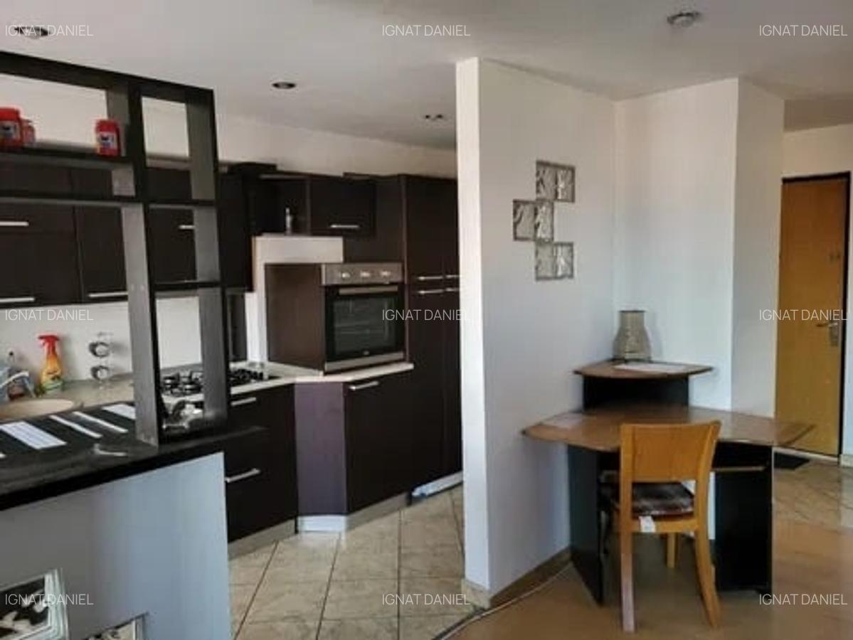 Apartament cu 1 camera, zona Pacurari -Petru Poni - 3