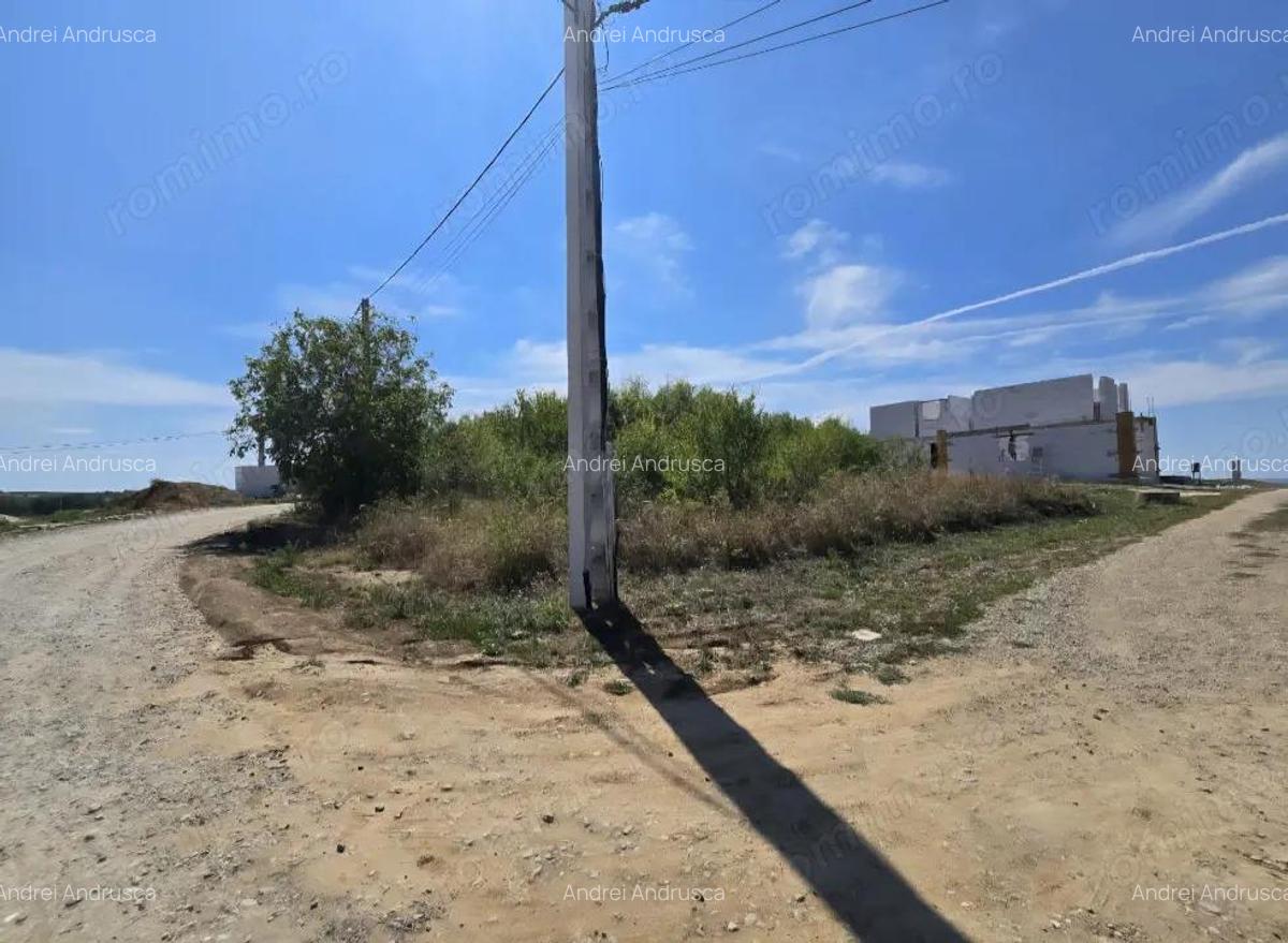 Teren Paleu Intravilan - 6