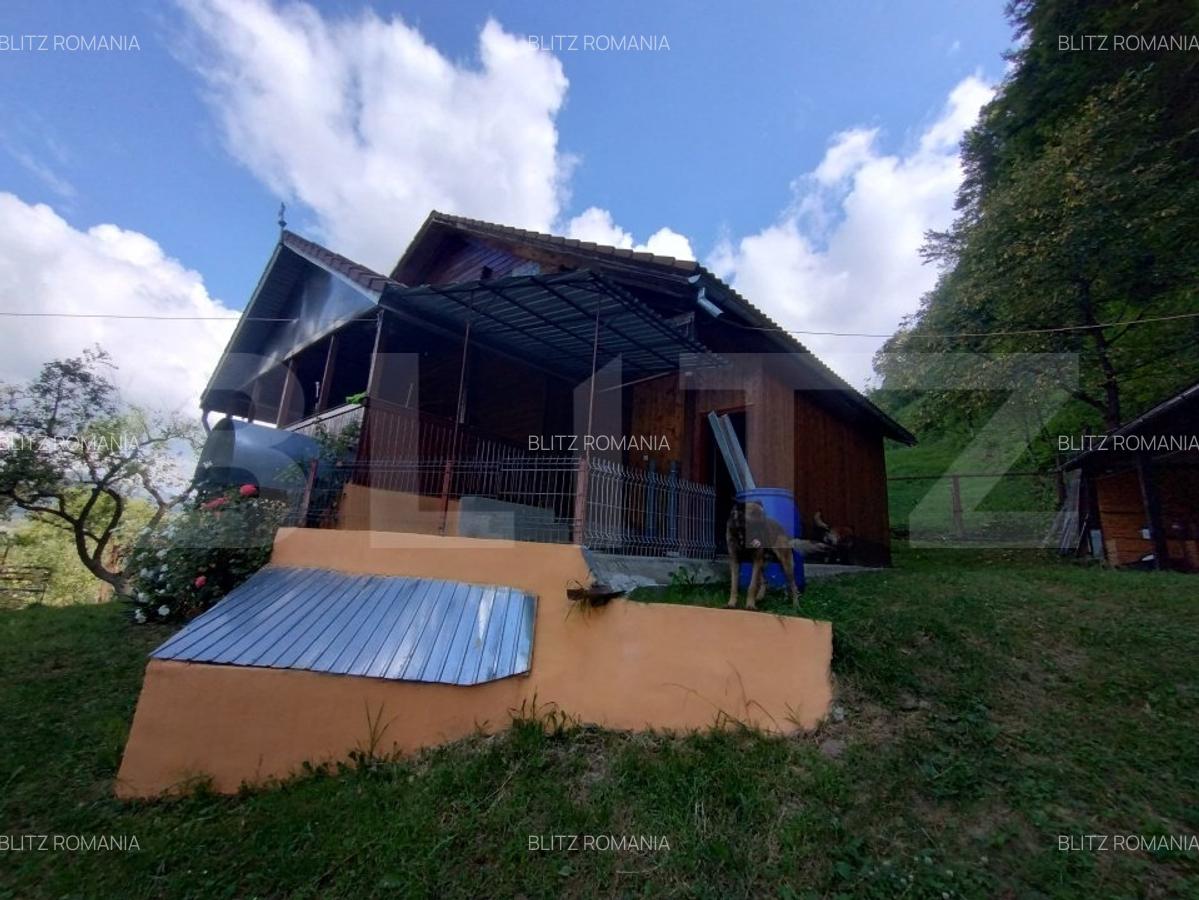 Cabana 3 cam,2 nivele 100 mp+teren extravilan 2,5 ha+1 ha padure,zona Nasaudului - 8