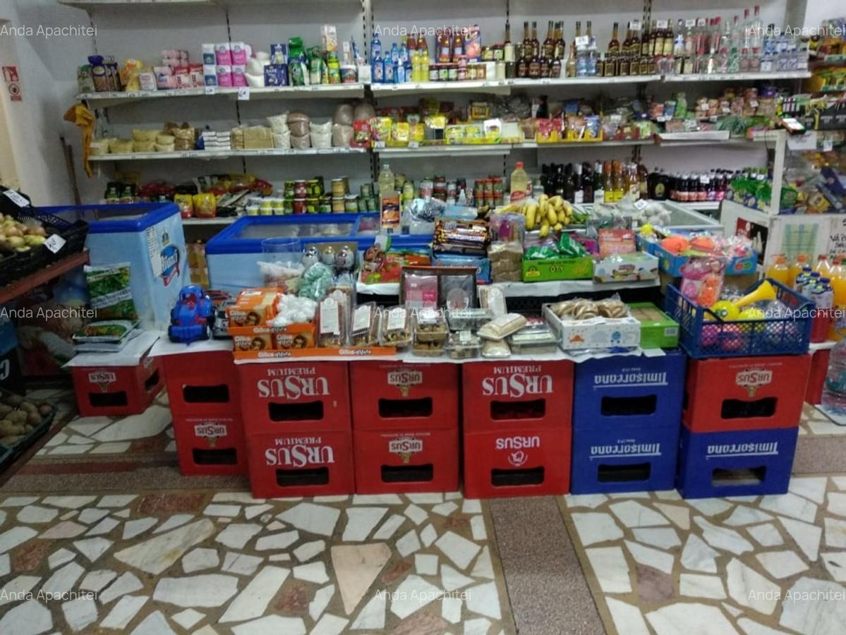Spatiu Comercial 100 mp Triaj - 1