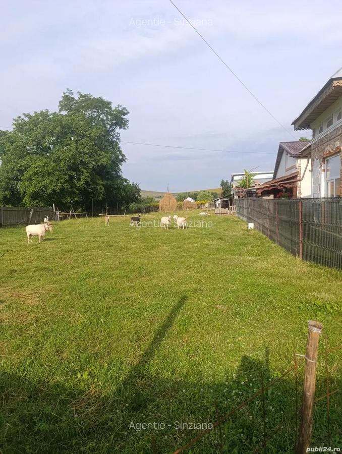 Teren intravilan, Carligi,com. Stefan cel Mare - 5