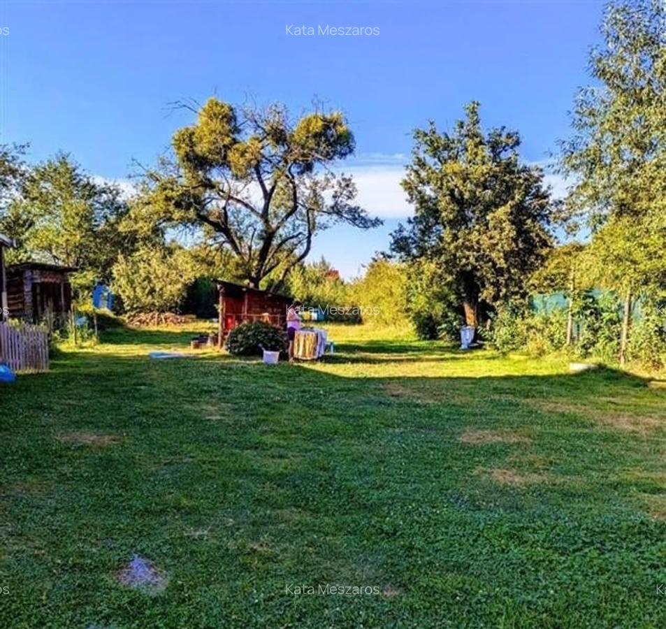 FILM! Resedinte montane,mobilate,echipate, jacuzzi,piscina,pretios areal,Sambata - 19