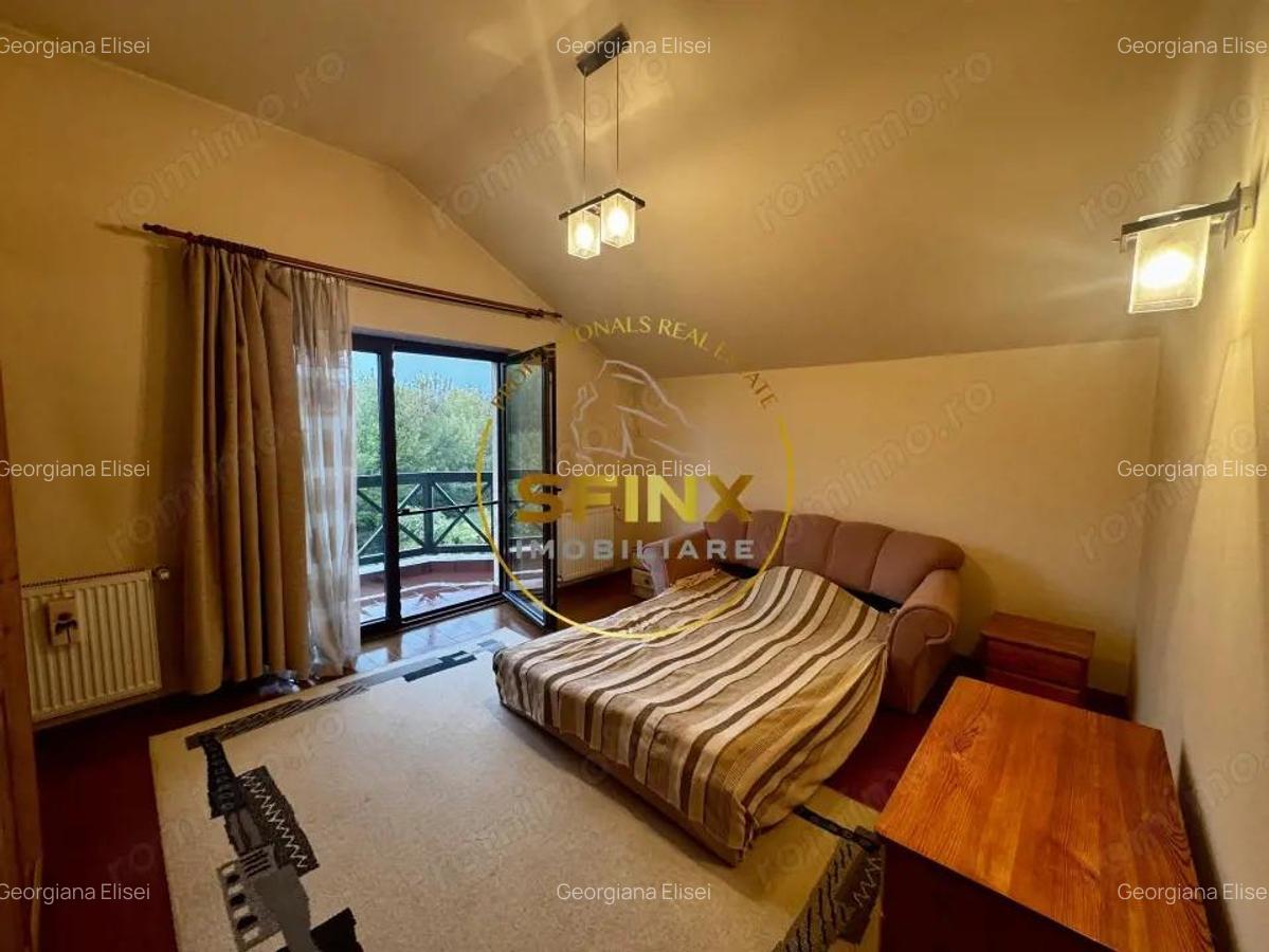 Casa 6 Camere, gradina spectaculoasa, Erou Iancu Nicolae - 7