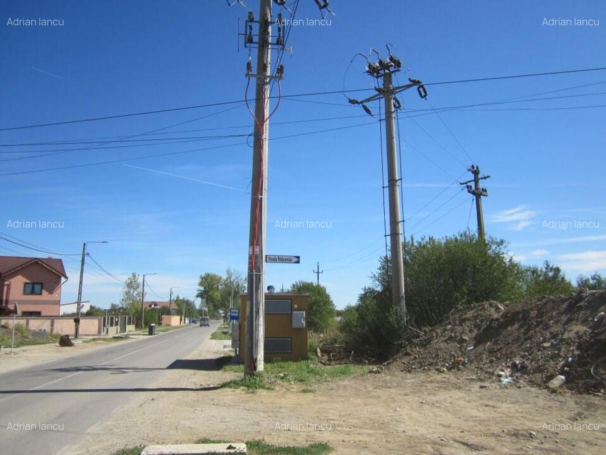 Domnesti Teghes-Padurarului - 5