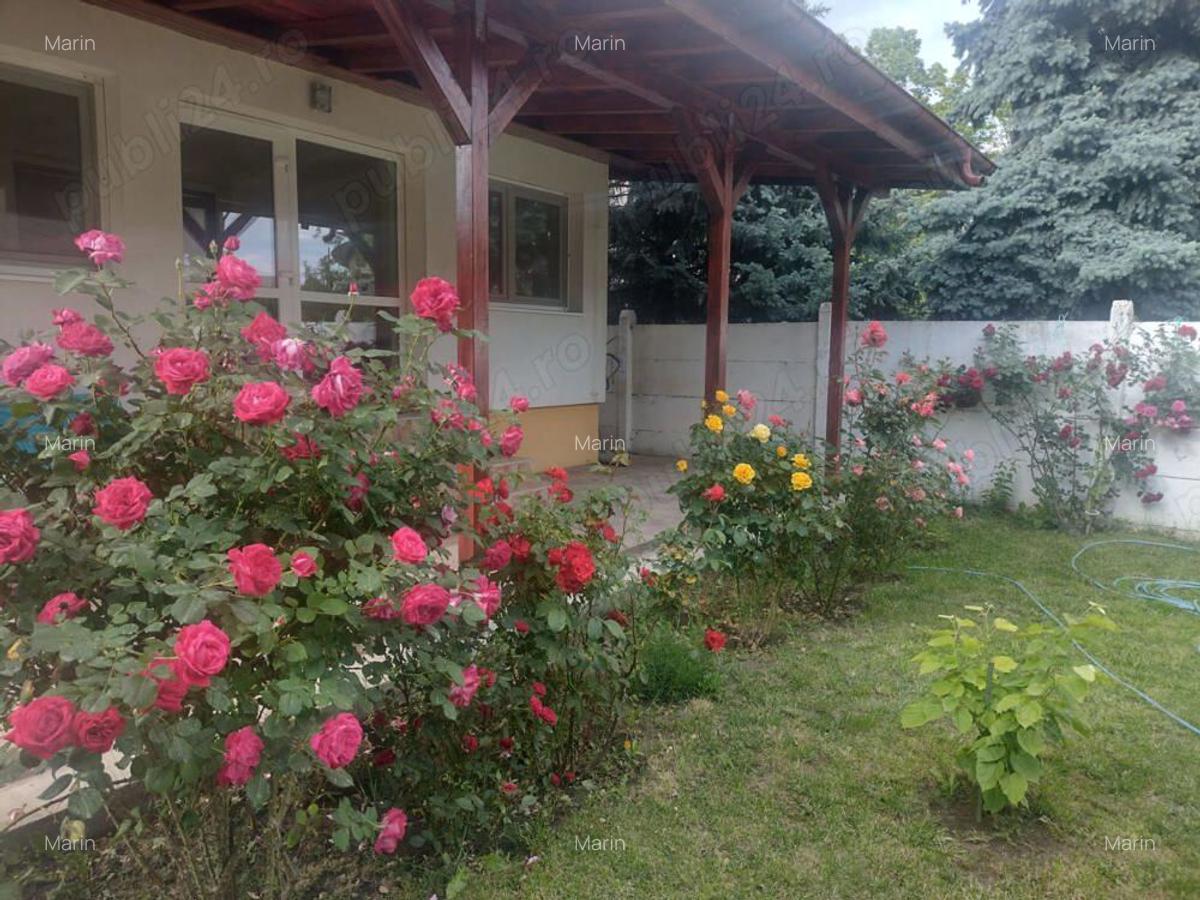 Vand casa Corbeanca - 3