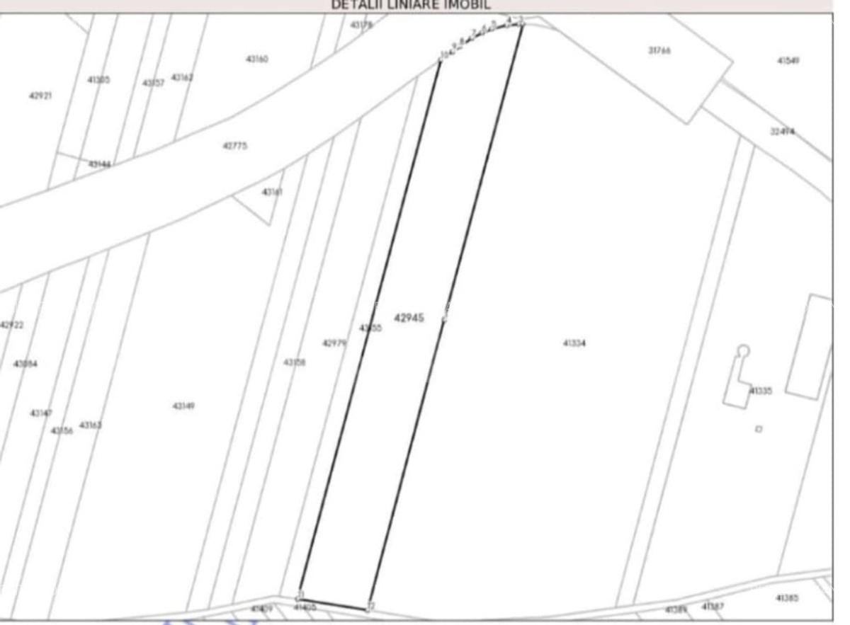 Teren intravilan, 13.025 mp, 40mp deschidere zona Carcea - 2