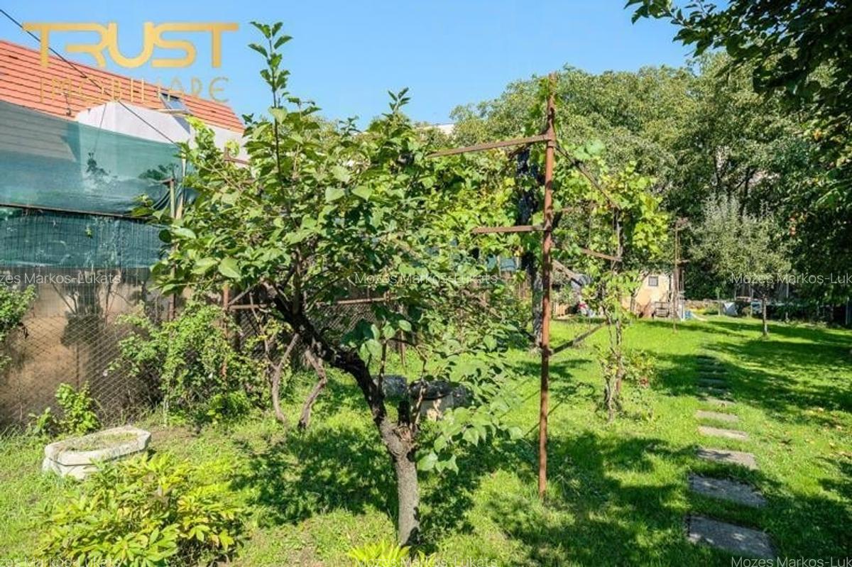 Exclusivitate  l Casa in calcan l Teren 710 MP l Andrei Muresanu - 14