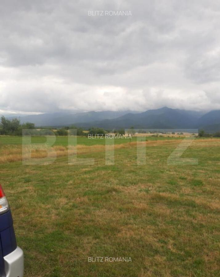 Teren extravilan 8600 mp, Car?i?oara- Coasta lui Nache - 2