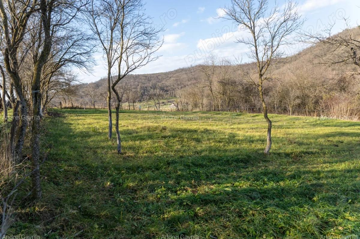 Casa de vanzare in Bozed, judetul Mures, renovata, cu sura si teren cu livada - 5