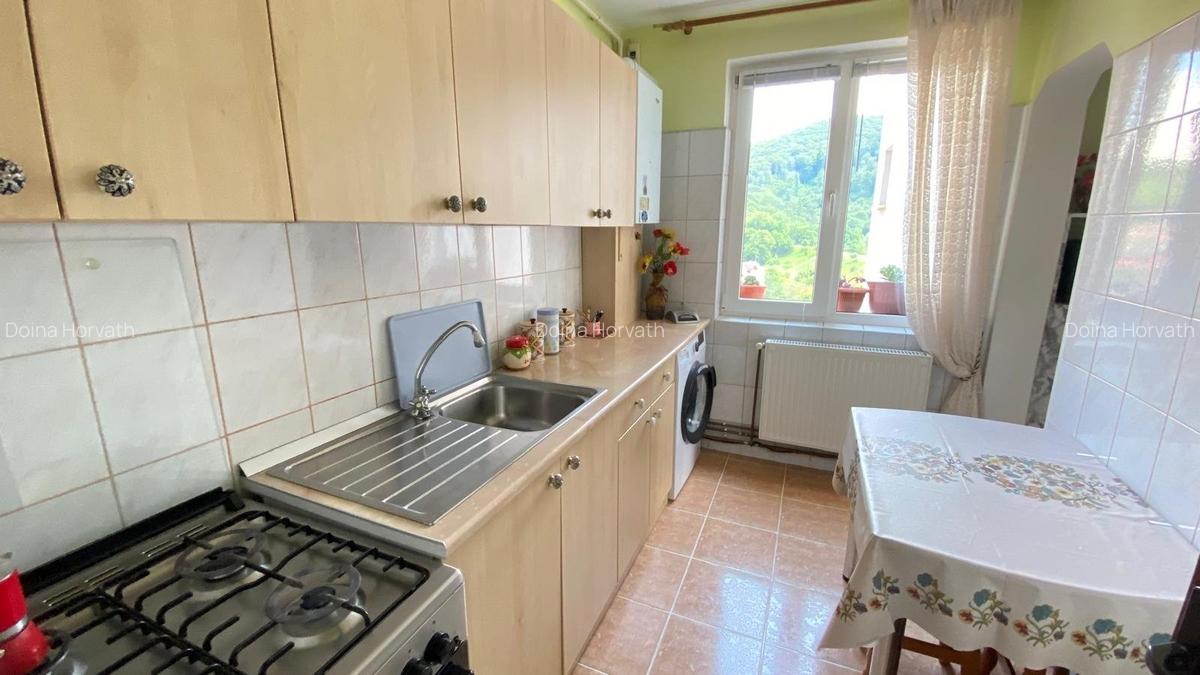 Apartament cu vedere catre lac si munti - 8
