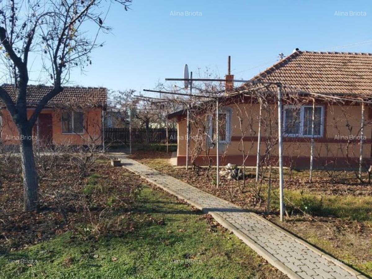 Casa plus teren Andrasesti - 5