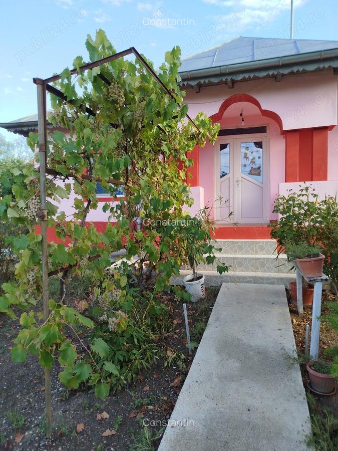 Proprietar vad casa Comuna Bucsani sat Obedeni,jud Giurgiu - 6