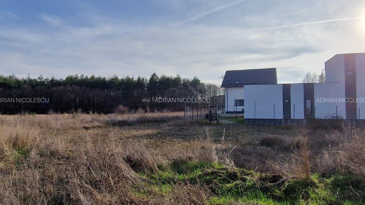 TEREN CONSTRUIBIL POZITIE EXCELENTA - 3