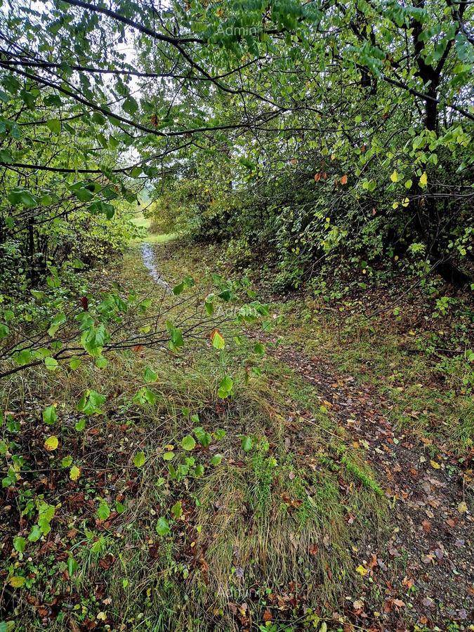 Comision 0%, teren extravilan 12497 mp Sinca Noua - 19