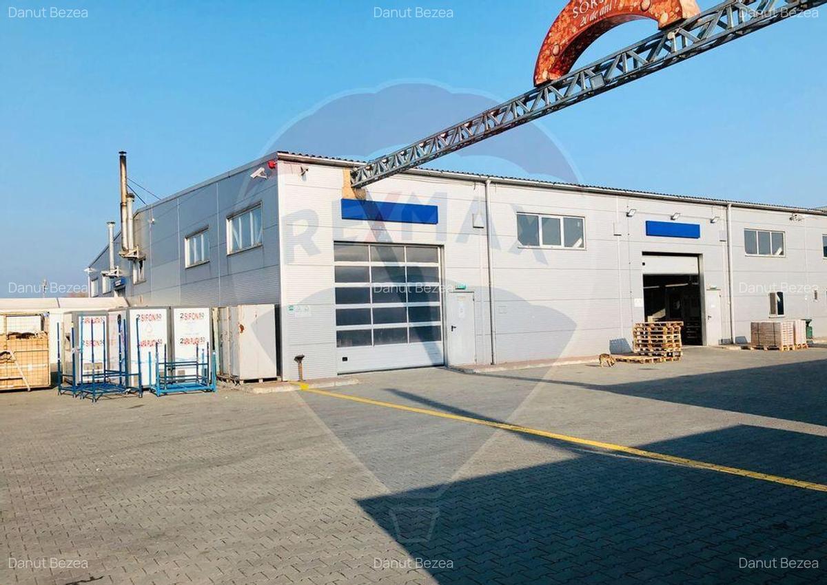 Hala 1000 mp la DN E85 Focsani - 3