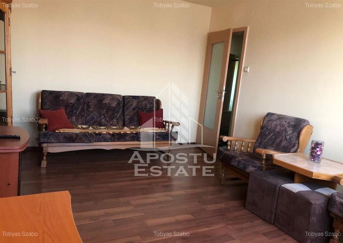Apartament cu 2 camere, semidecomandat, in zona Take Ionescu - 2