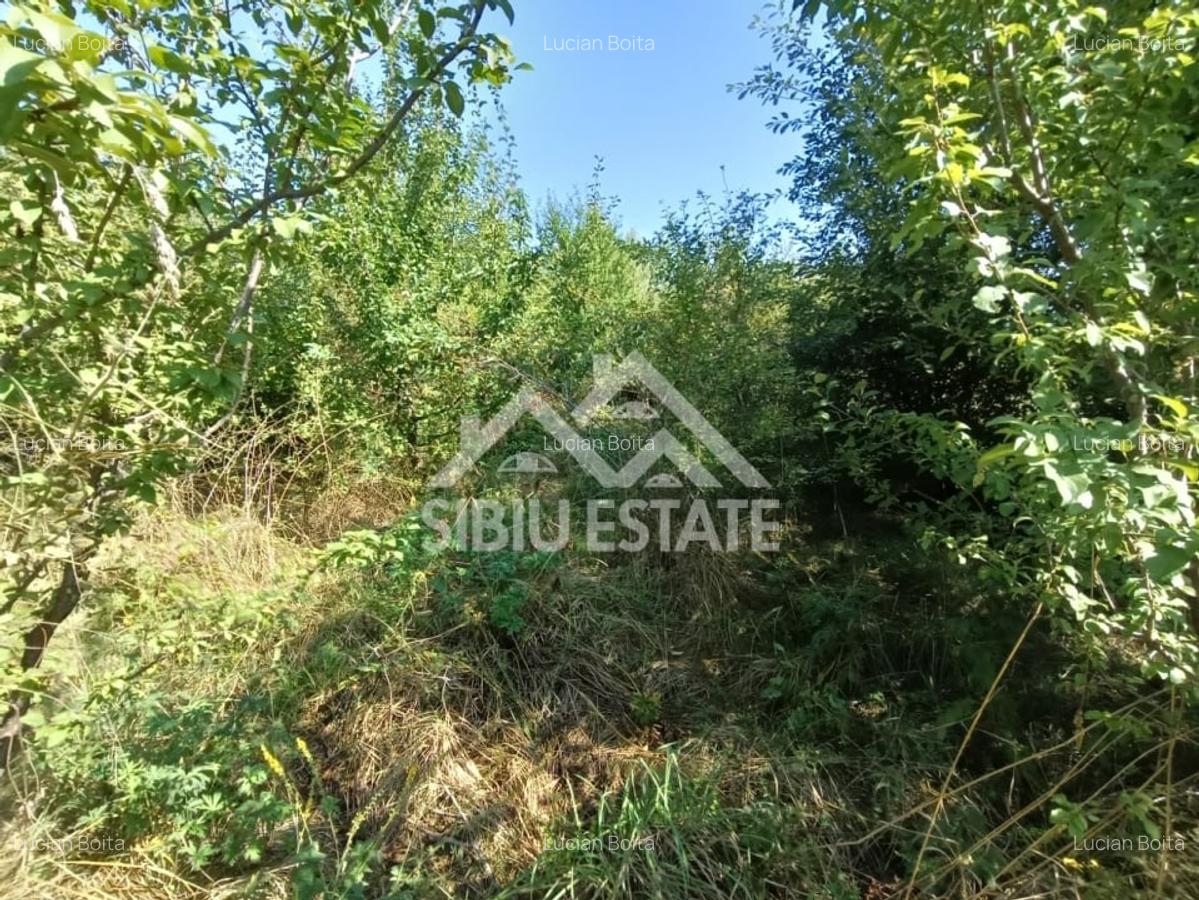 Teren  construibil ,la sosea, intre Vale si Sibiel, zona cu potential - 9