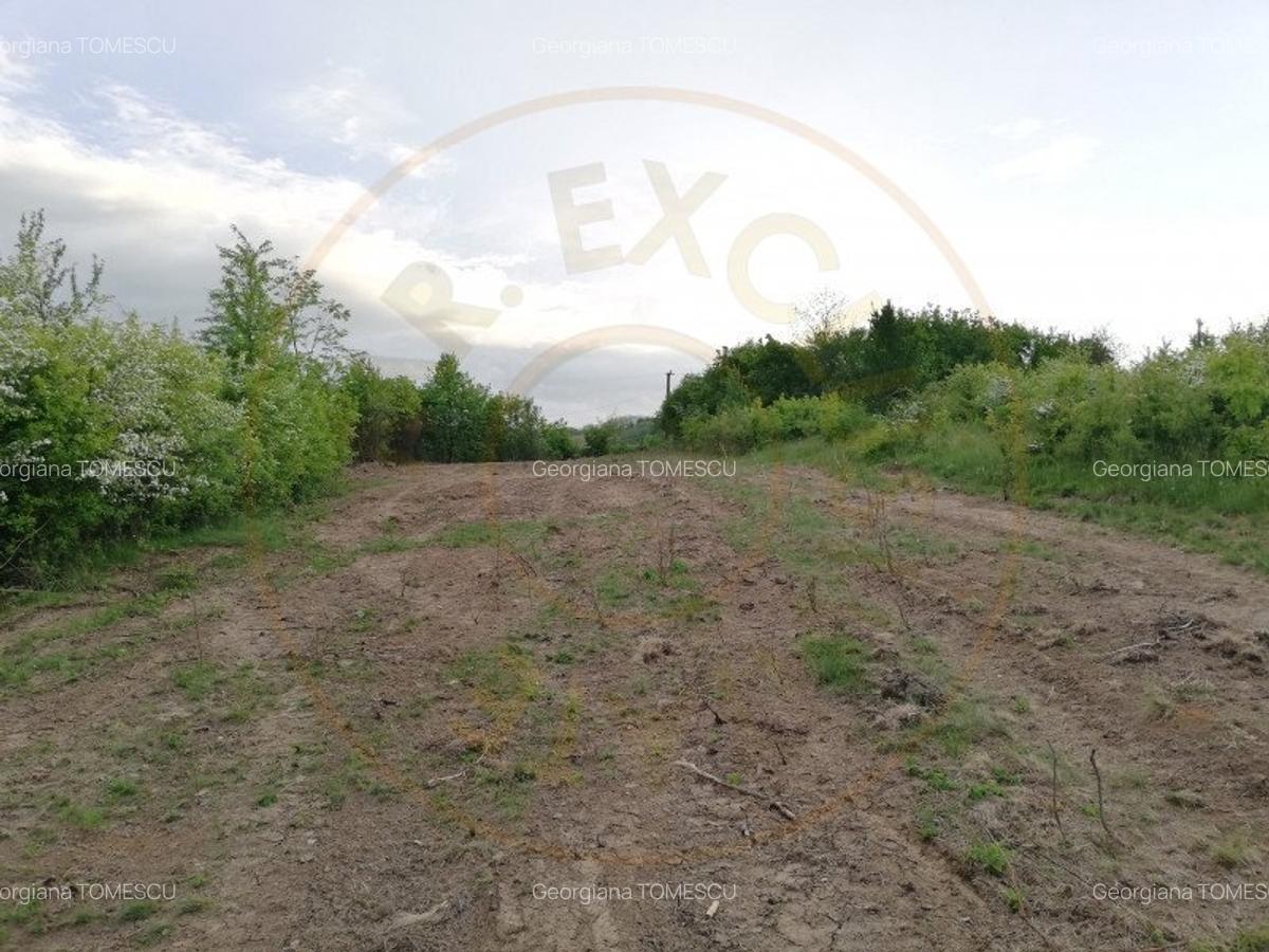 Teren 2000 mp intravilan Smeura-Mosoaia. Comision 0% - 5