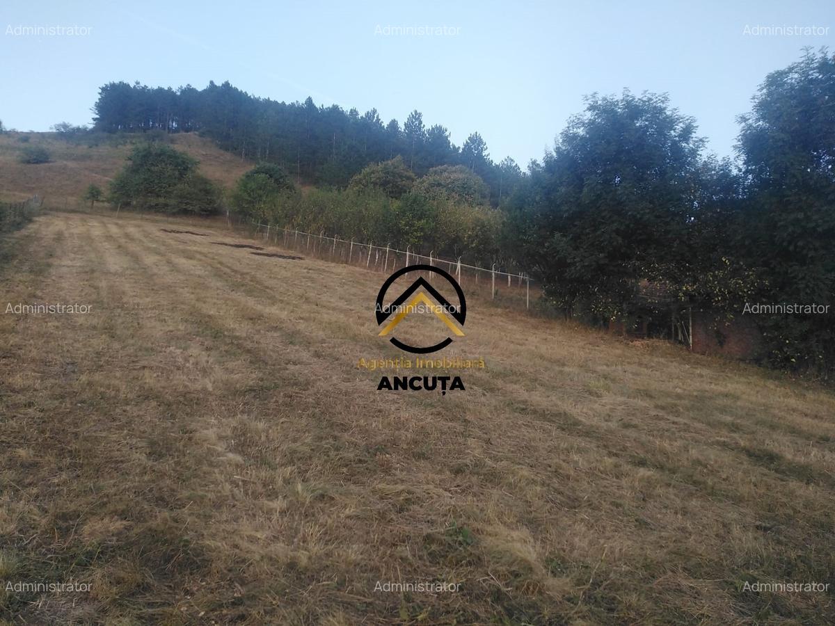 Teren Construcții intravilan de 1225 mp, în Gârbău - 3