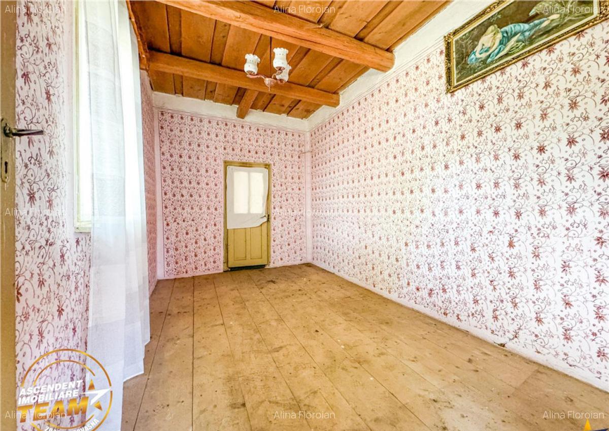 FILM!Casa personalizabila anexe domeniu de peste 3.600mp,in - 7