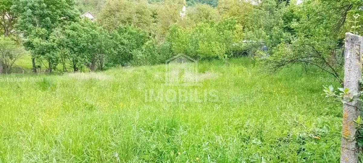 Teren intravilan | Budiu Mic | 994 mp - 6