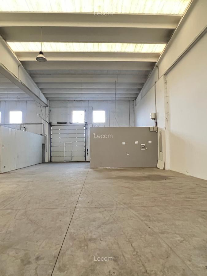 COMISION 0% | Hala industriala, situata pe Calea Lugojului | Disponibila imediat - 6