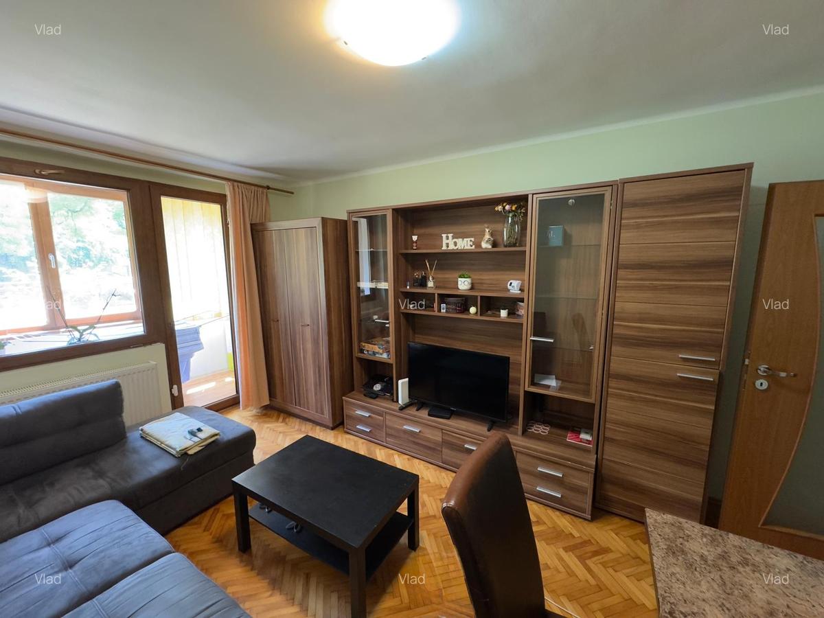 Apartament cu 2 camere decomandat în Medicină - 4