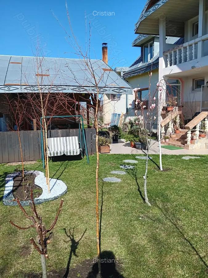 Urgent .Proprietar, parter la casa cu etaj, Mogosesti - Iasi, 10 km - 3