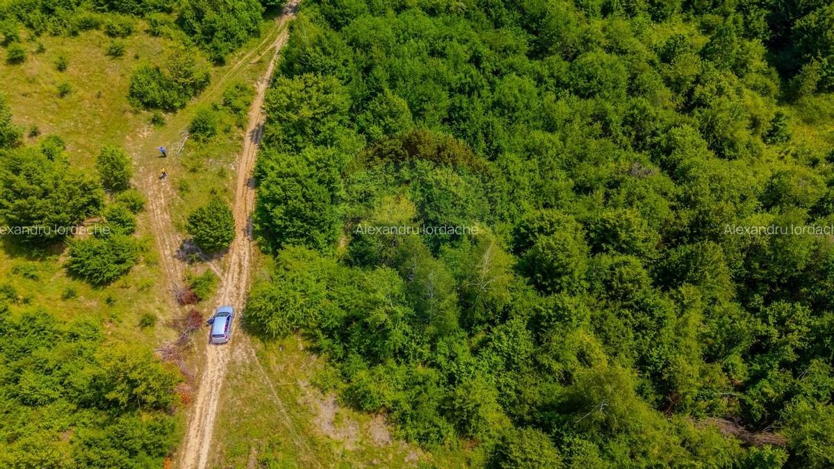 Teren intravilan de 1551 mp, în Grid - 4