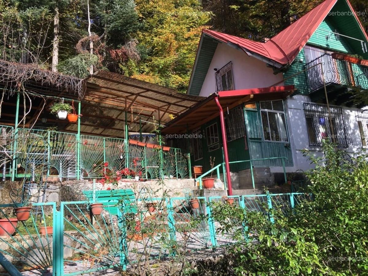 Casa si teren 1000 mp, Sinaia, zona excelenta, pe Furnica, langa Peles - 4
