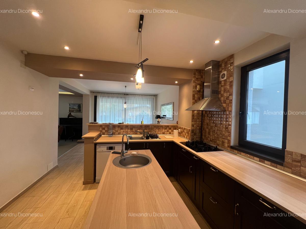 Dimitrie Leonida Metrou - 23