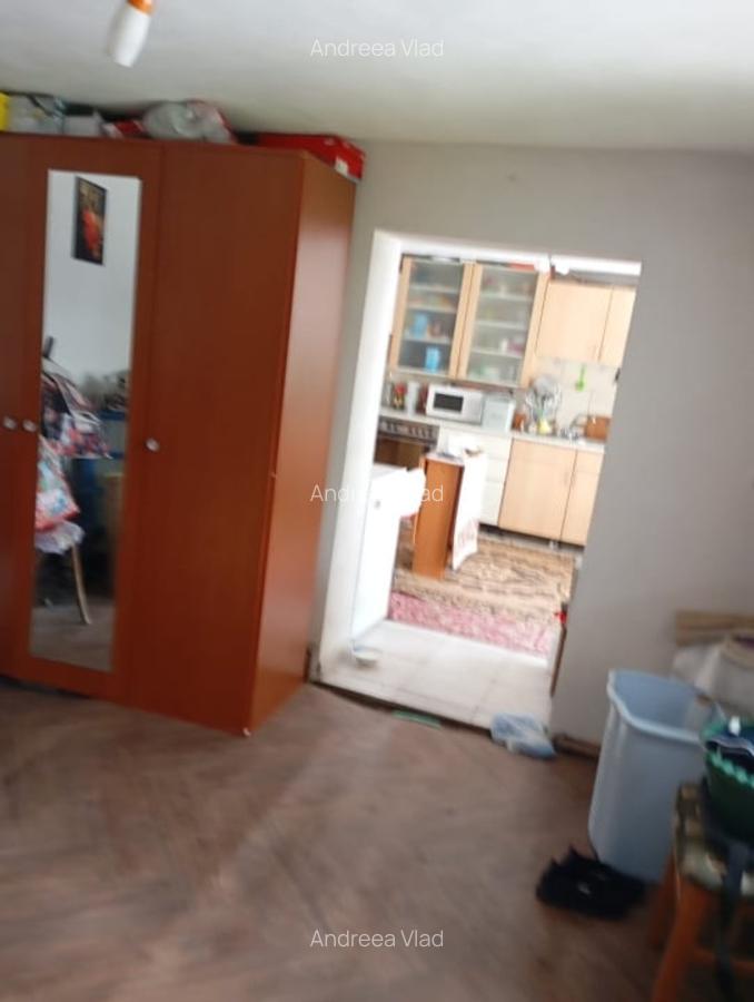 Casa de vanzare in Sacel - 2 corpuri locuibile, 3 bai, gradina, teren generos - 7