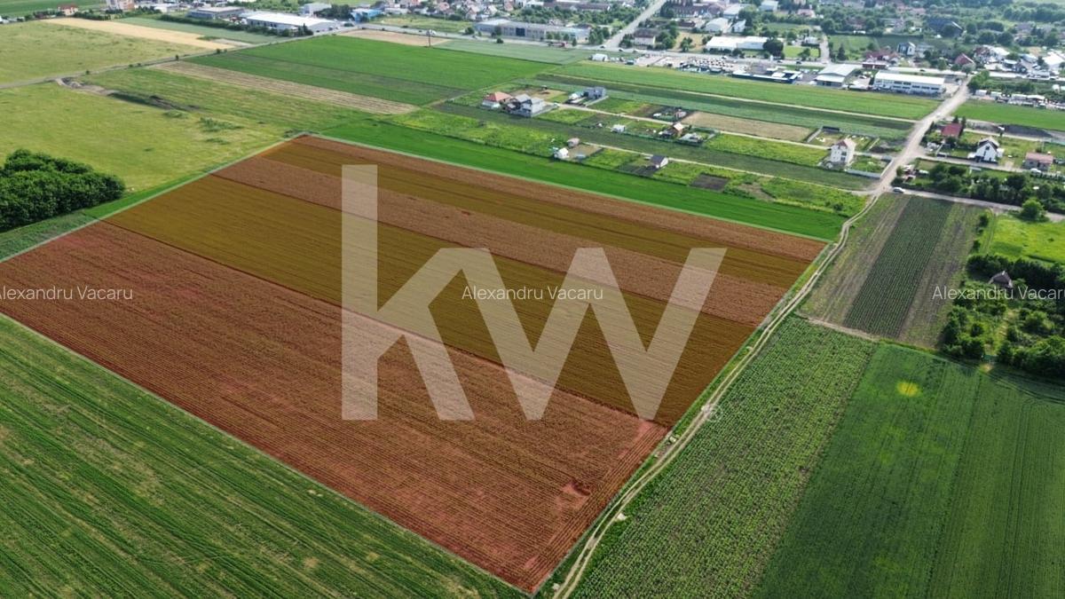 Teren Construcții intravilan de 65940 mp, în Stupini - 3