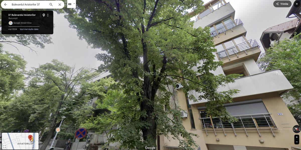 Stradal Bulevardul Aviatorilor 37 / Mobilat / Parc Herastrau / Garaj - 4