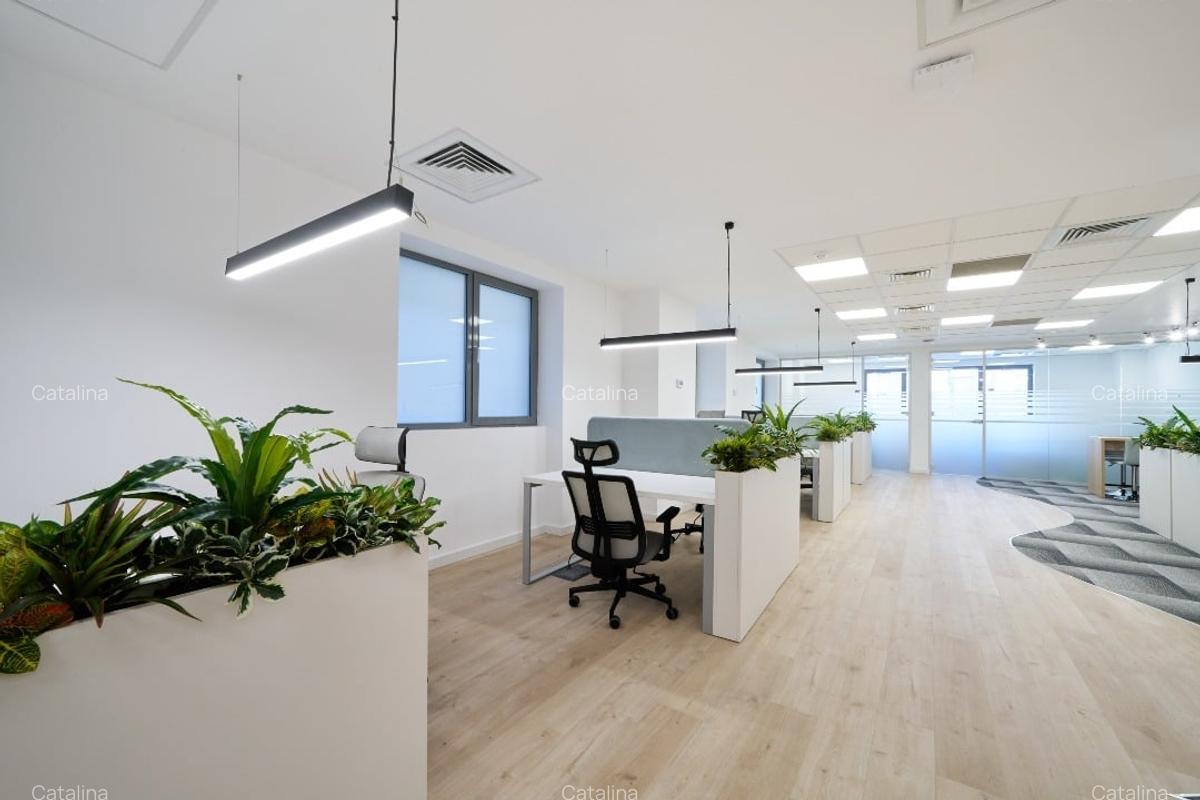 Birouri de Închiriat, Spațiu Coworking, zona Universitate - 14
