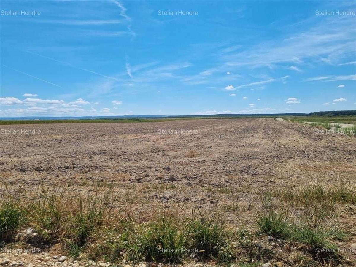 RECO Teren intravilan de vanzare Osorhei - 1