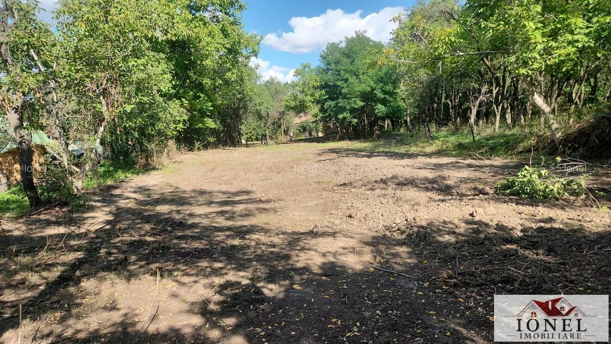 Casa de vanzare in Bihor - comuna Abram - 4