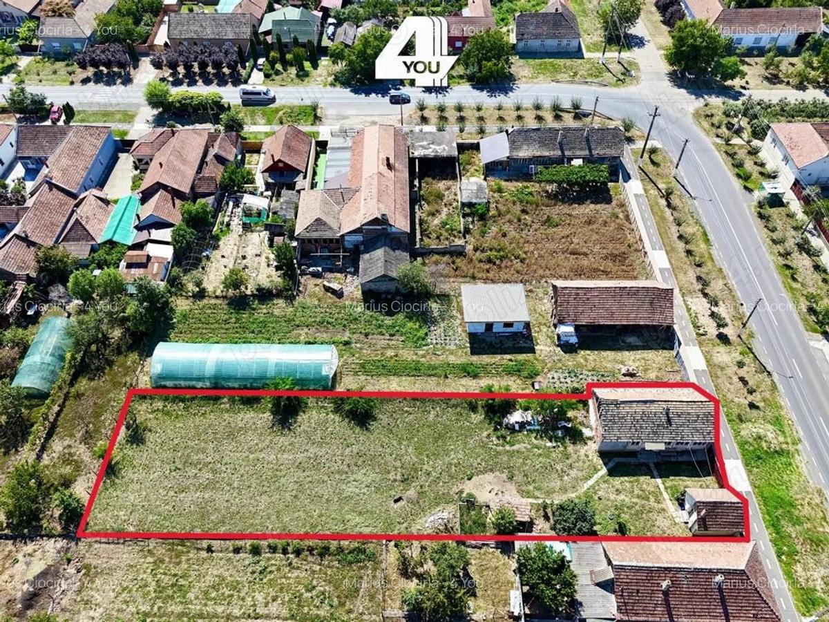 Proprietate cu poten?ial comercial ?i vizibilitate maxima in Macea - 5